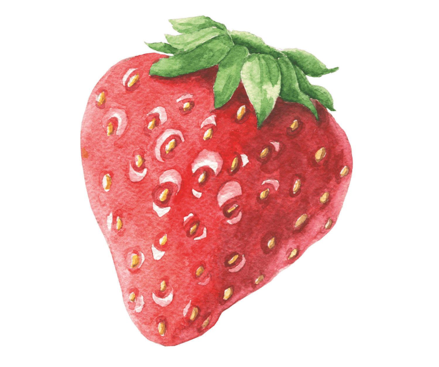 aardbei_---03