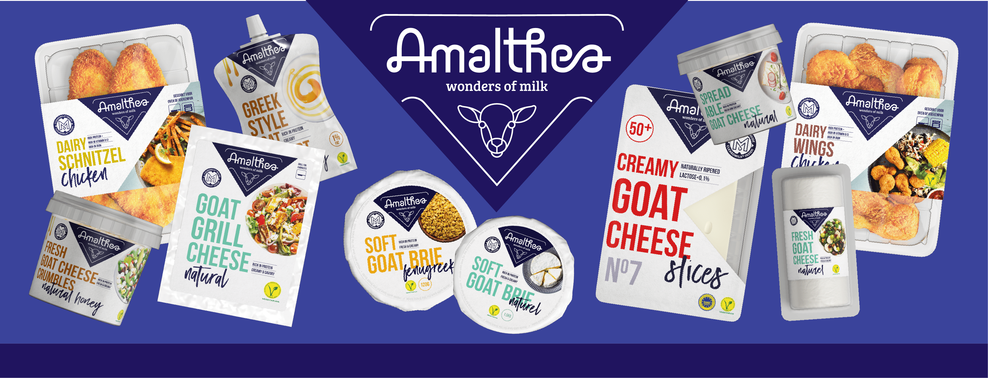 portfolio 1_AMALTHEA HEADER